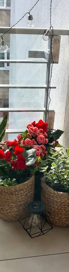 Styled balcony with flowering plants and lights