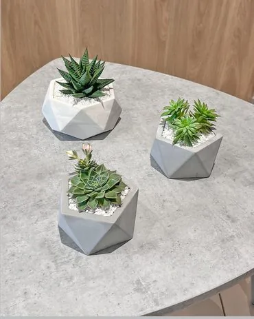 Botanical decor piece by Floralab