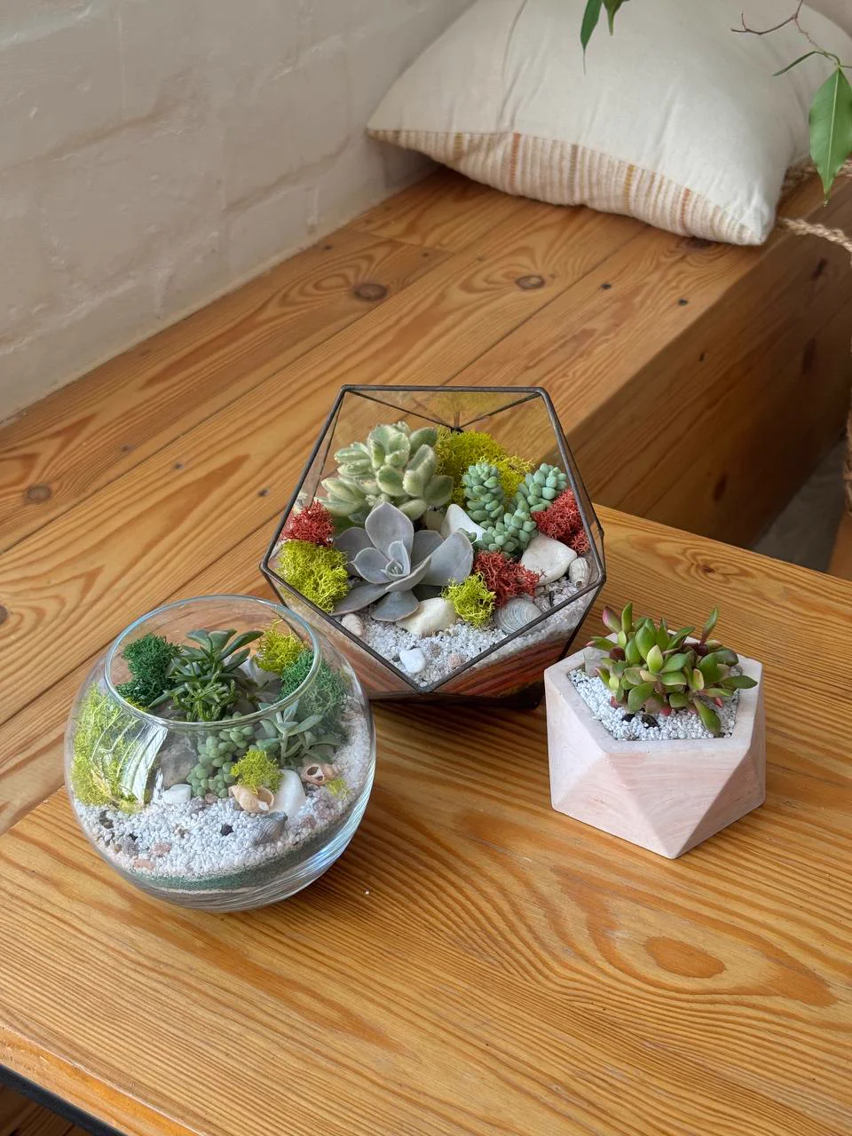 Glass terrariums with succulents on a wooden table