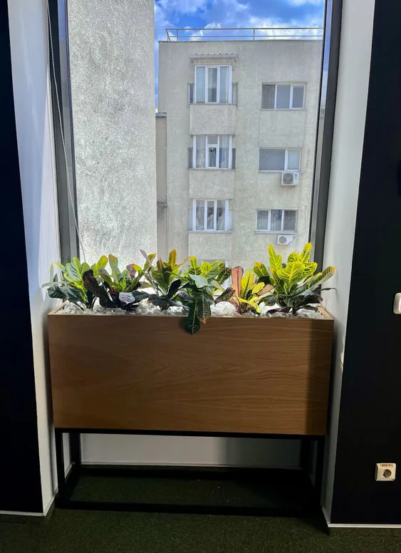 The same planter filled with plants
