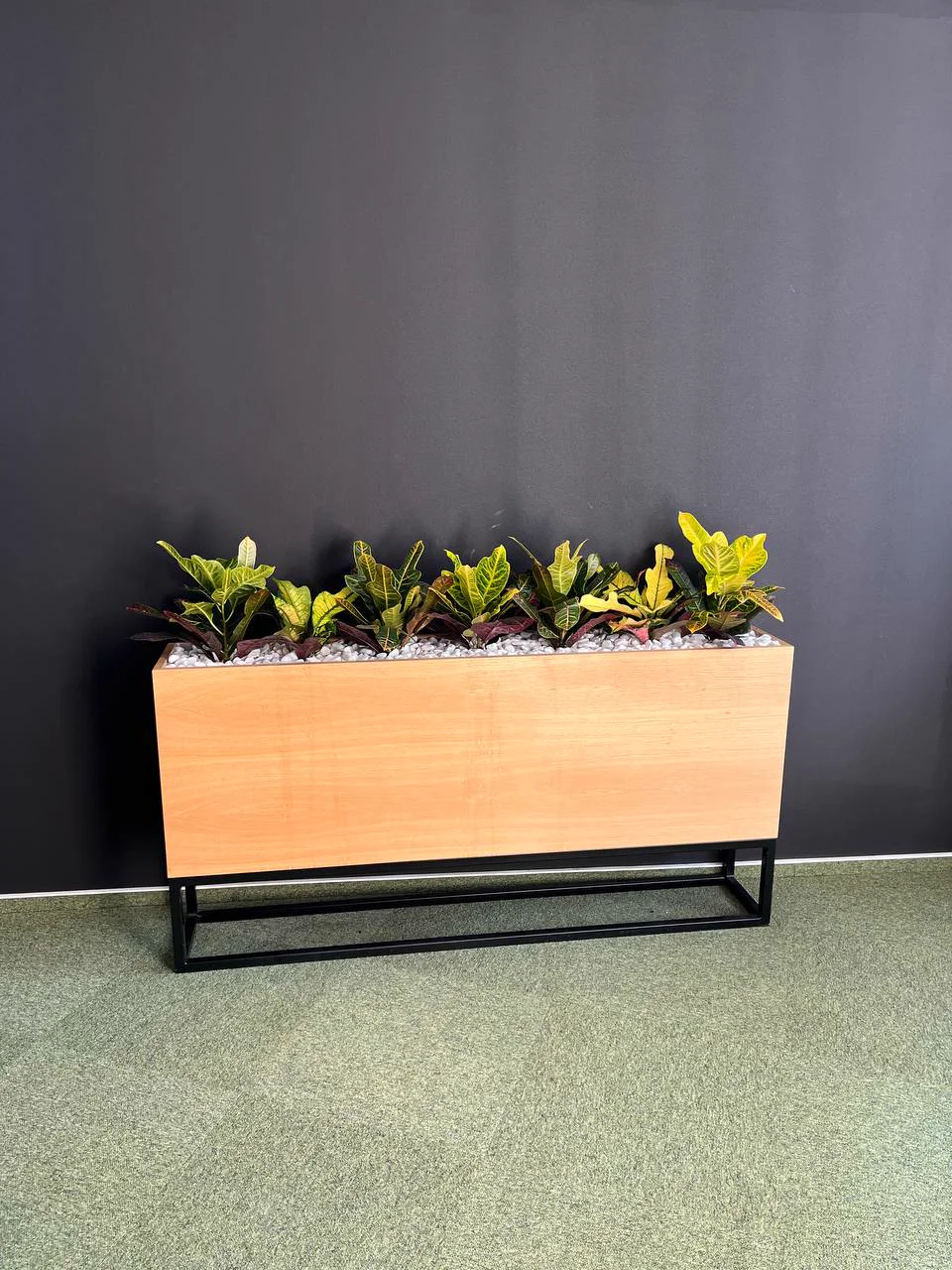 Greenery in the office interior