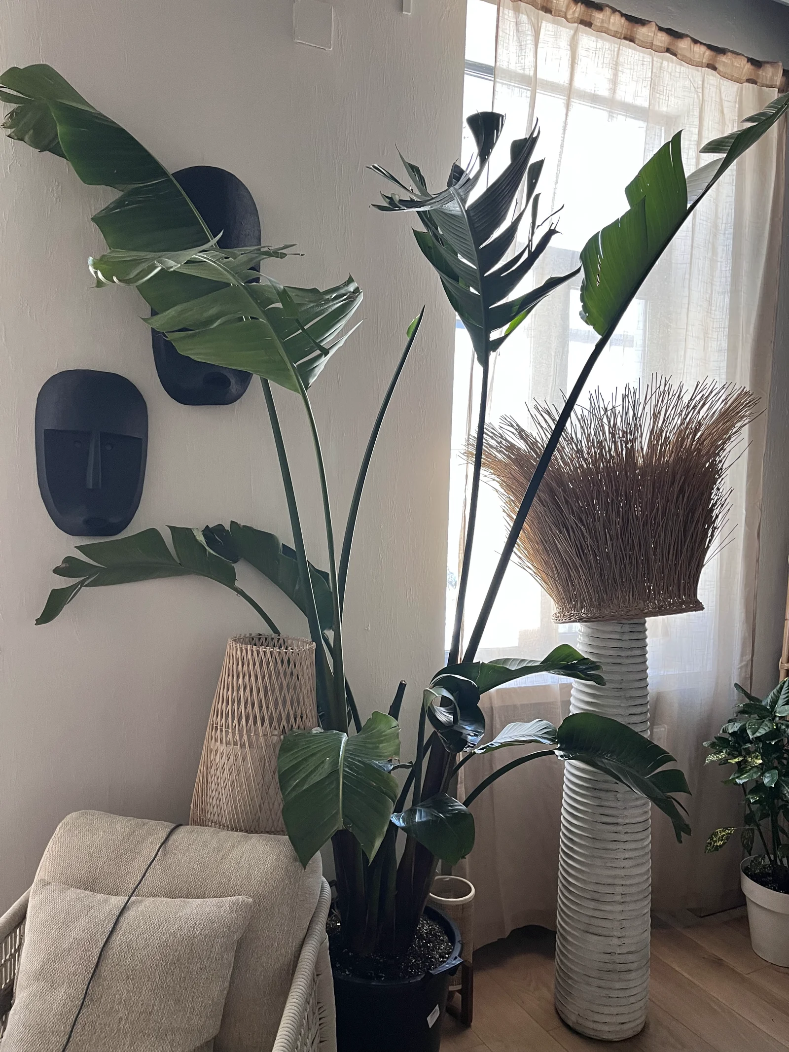 Healthy greenery in the restaurant interior