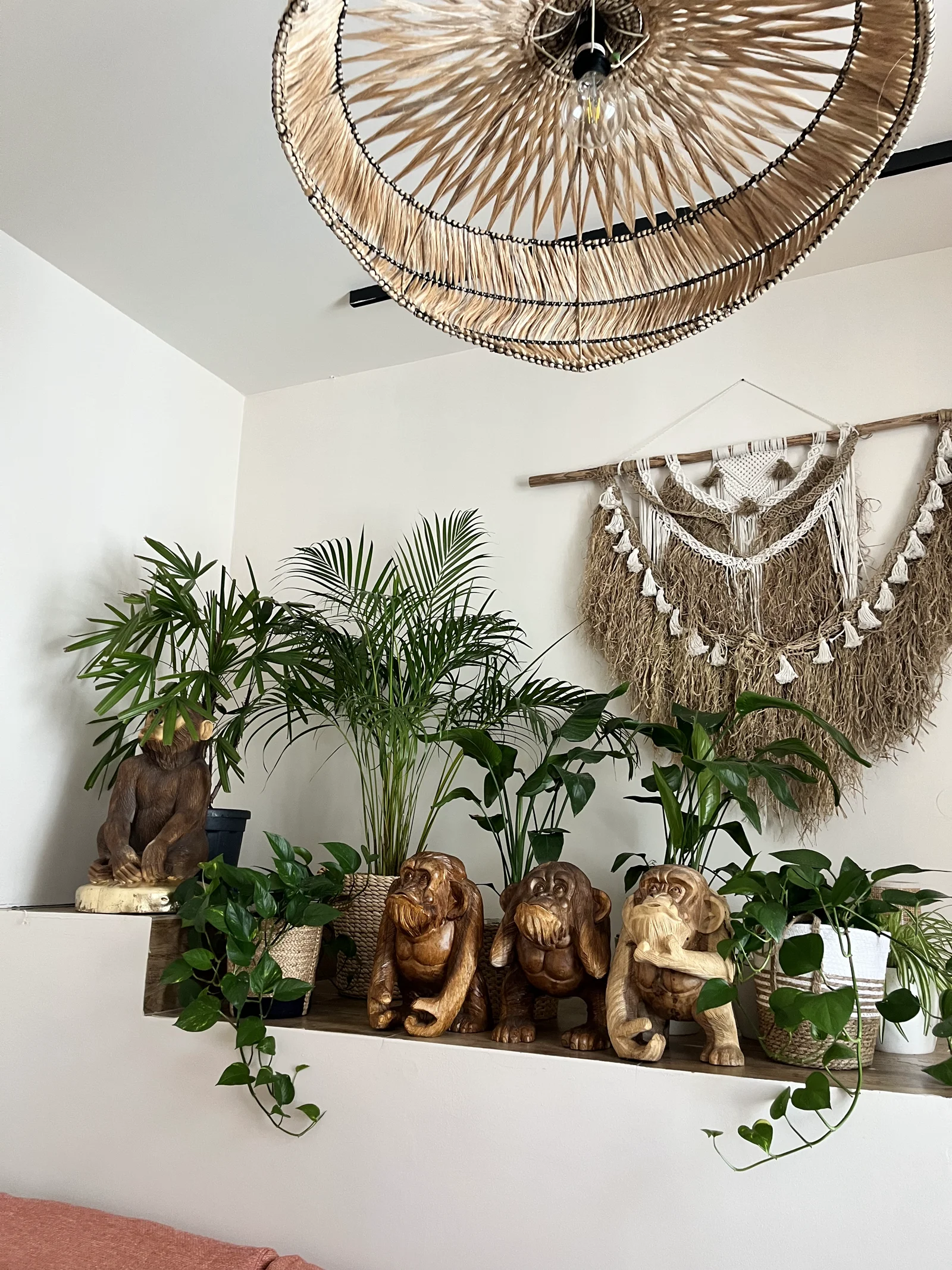 Lush plants after the recovery programme