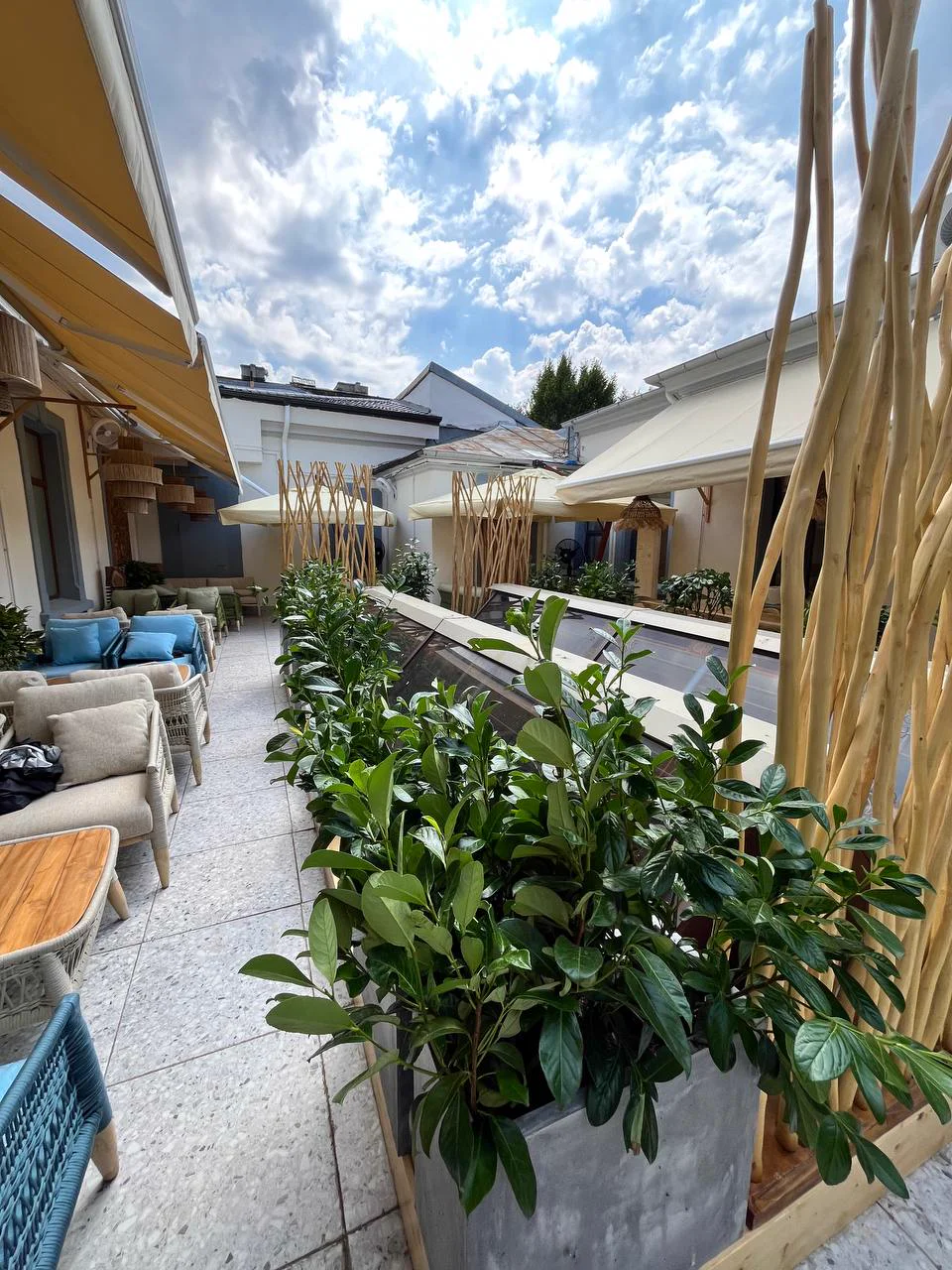 Restaurant terrace planters with fresh greenery