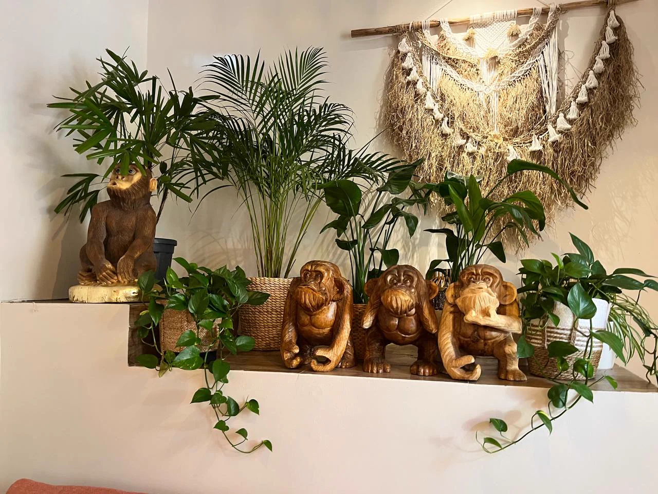 Restaurant terrace with recovered plants