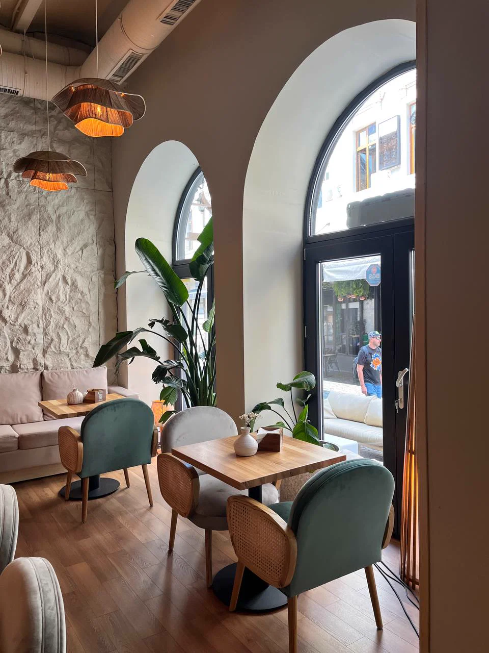 Healthy plants in the dining area