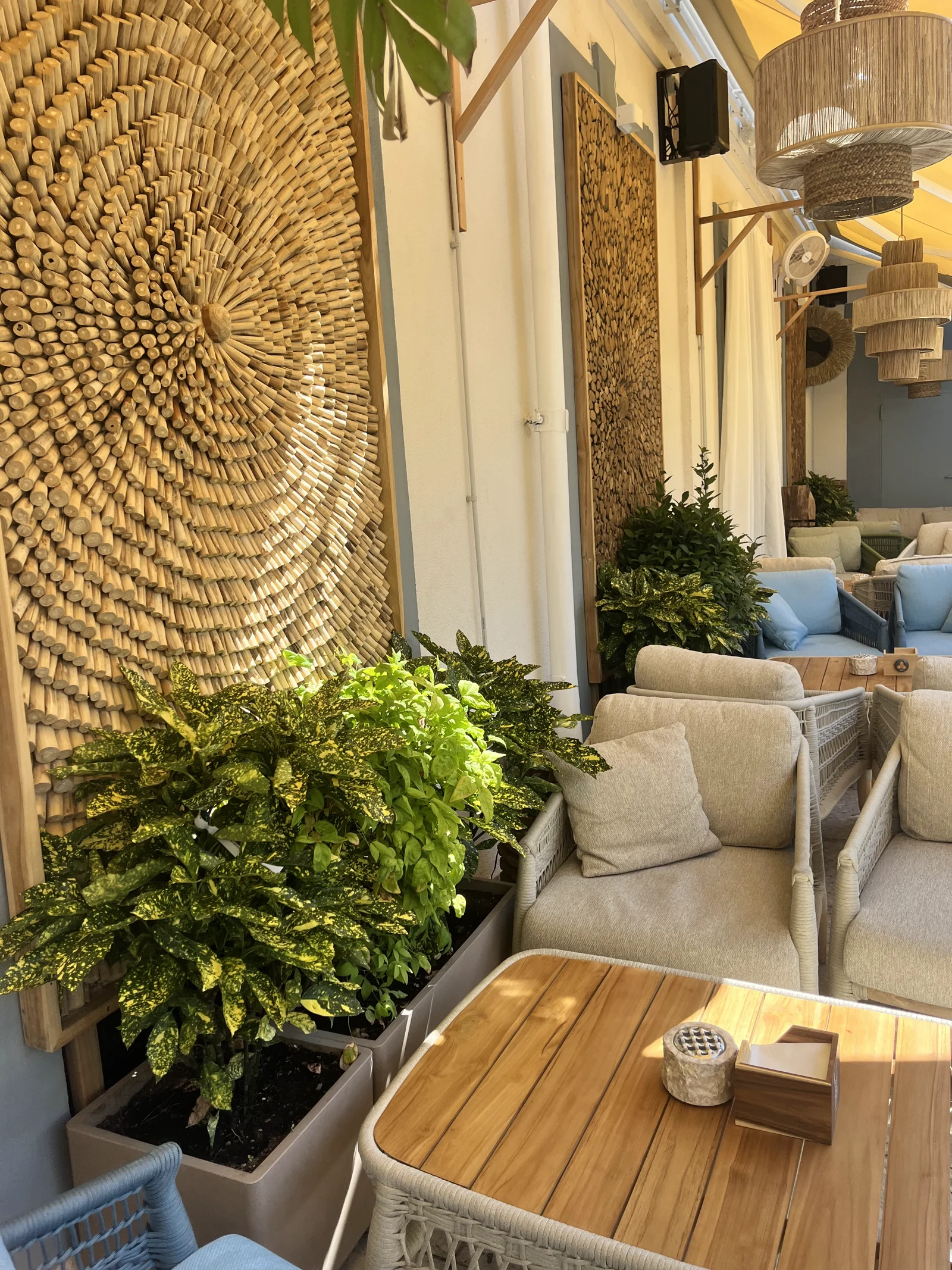 The restaurant greenery today