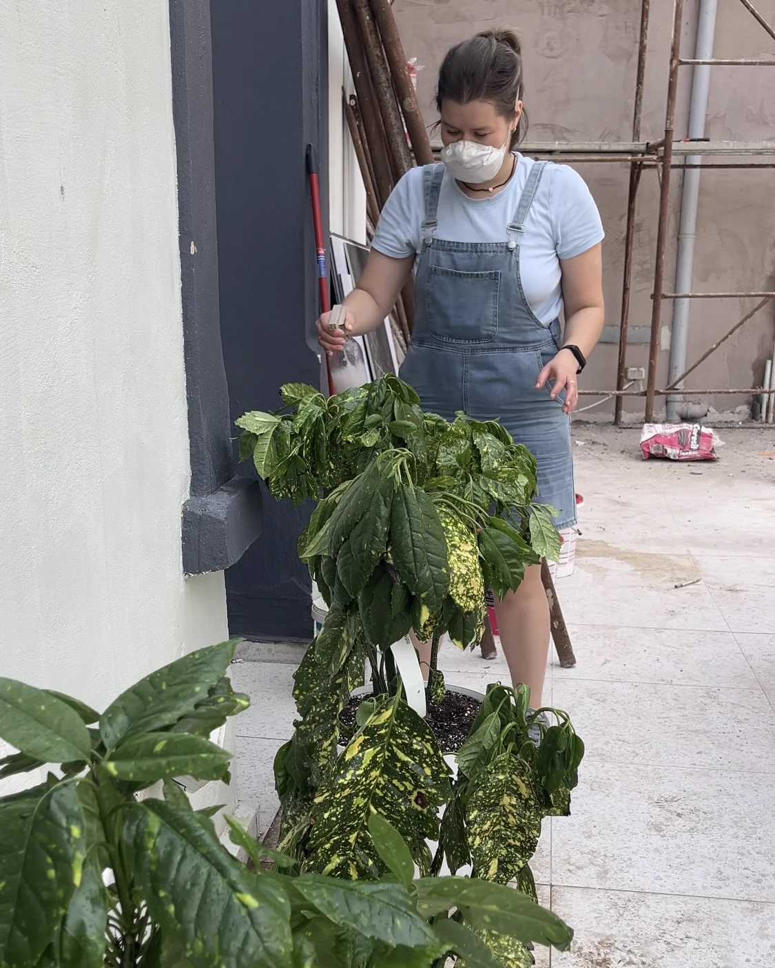 Treating plants outdoors during the recovery