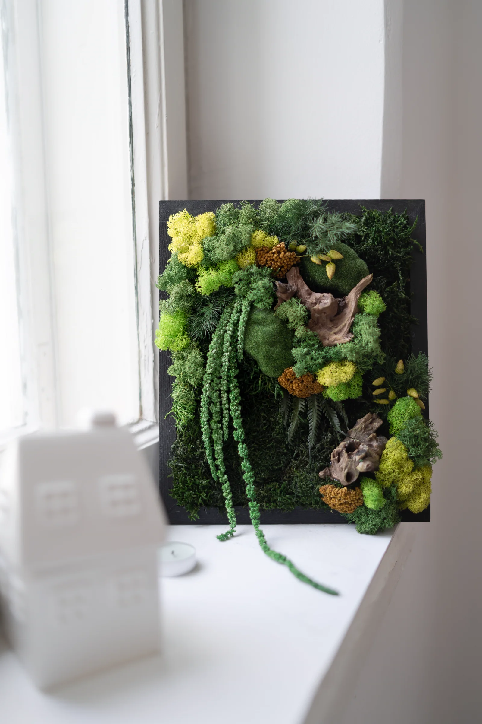 Moss Art Workshop