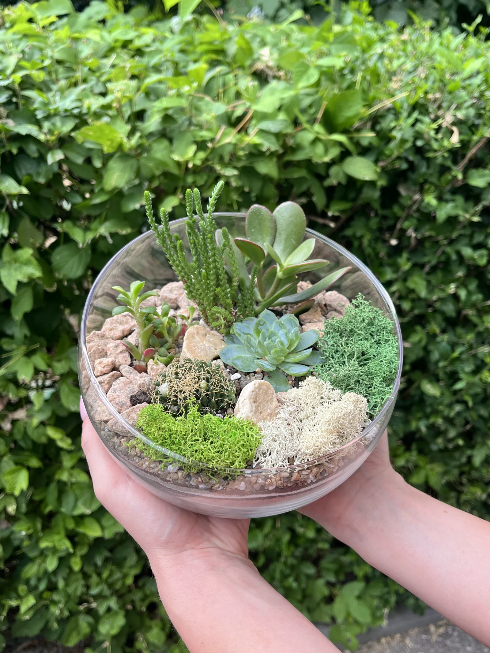 Terrarium Workshop