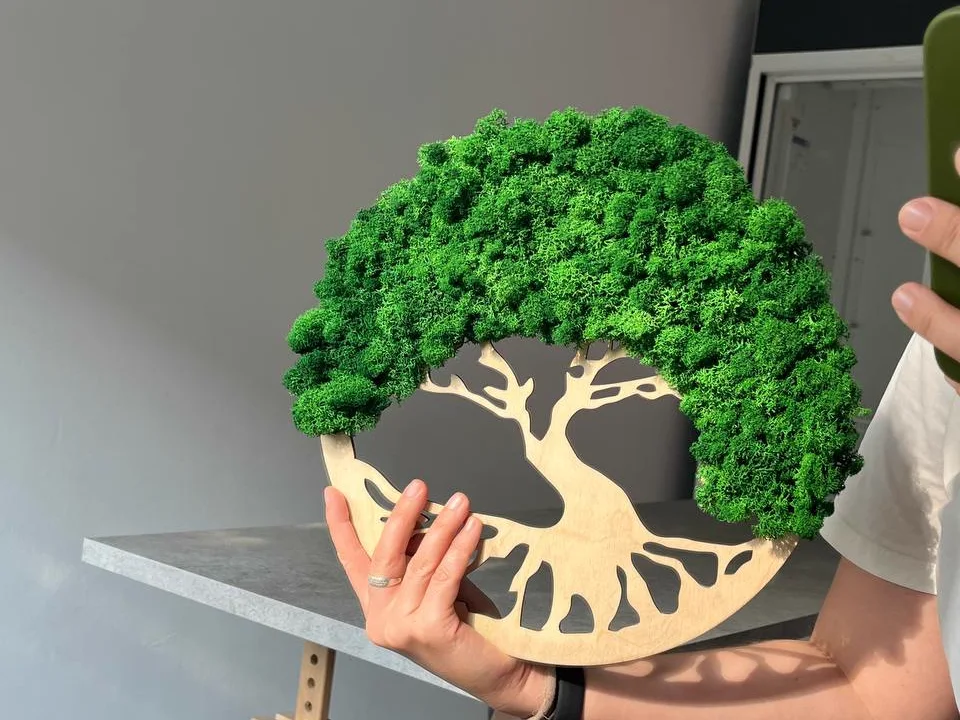 Tree of Life Workshop